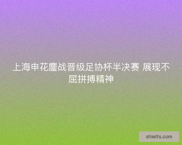 上海申花鏖战晋级足协杯半决赛 展现不屈拼搏精神